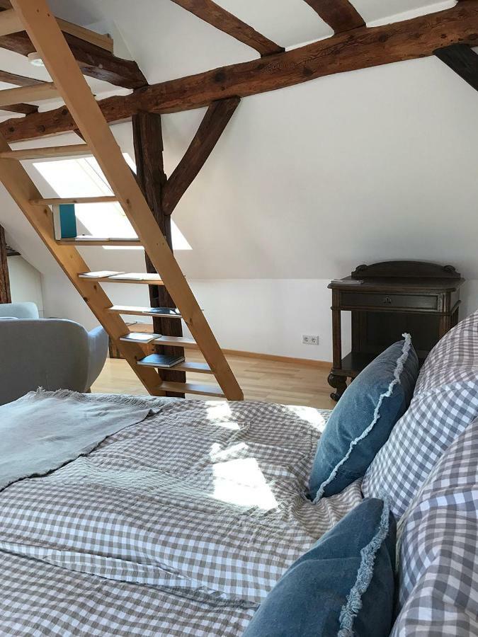 شقة Fuxbau Neustadt an der Weinstraße المظهر الخارجي الصورة